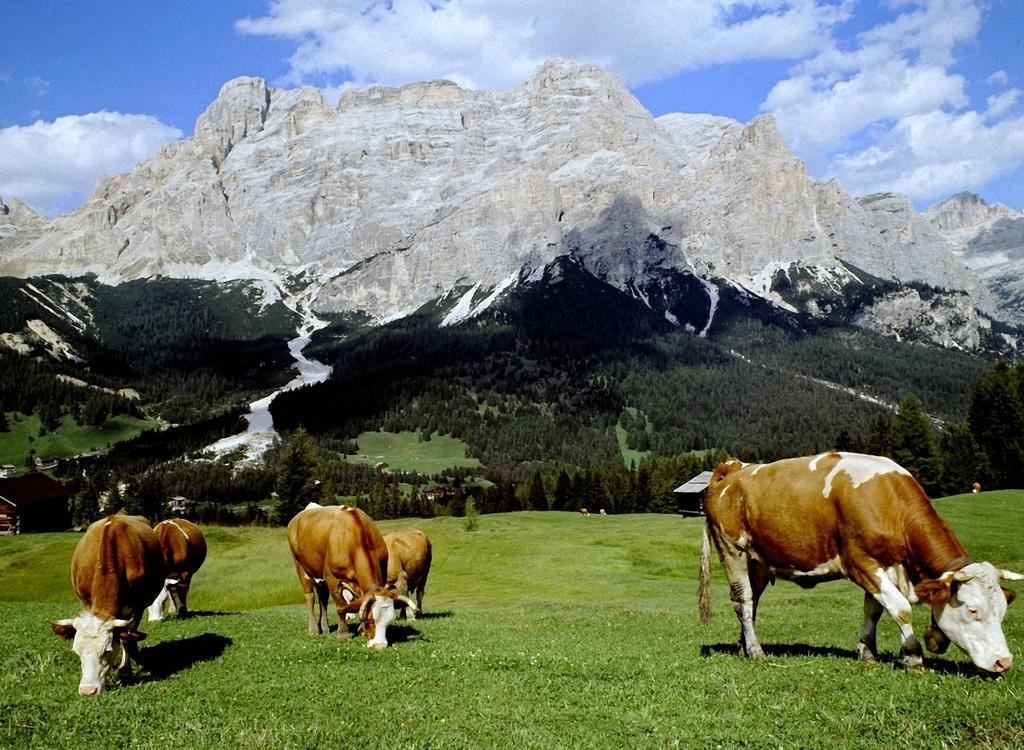 Dolomites Apartments Ciasa Vally San Cassiano  Esterno foto